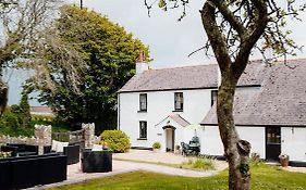 Celtic Haven